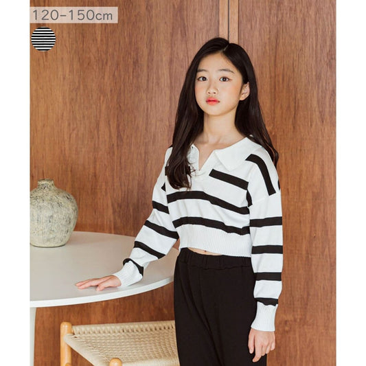 クロップ丈 襟付き ストライプニット